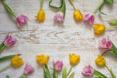 Parlak güzel Lale üstten görünüm Beyaz ahşap zemin düz üzerinde yatıyordu