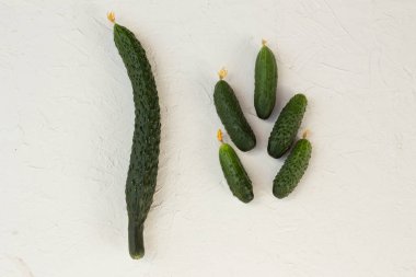 İki seçenek var. Salatalıklar uzun ve kısa beyaz bir arkaplanda