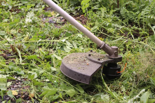 Trimmer Närbild Klipper Gräset Sommarträdgårdskoncept — Stockfoto