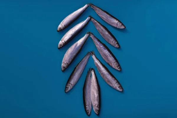 Peixe Fresco Dobrado Forma Árvore Natal Depósito Plano — Fotografia de Stock