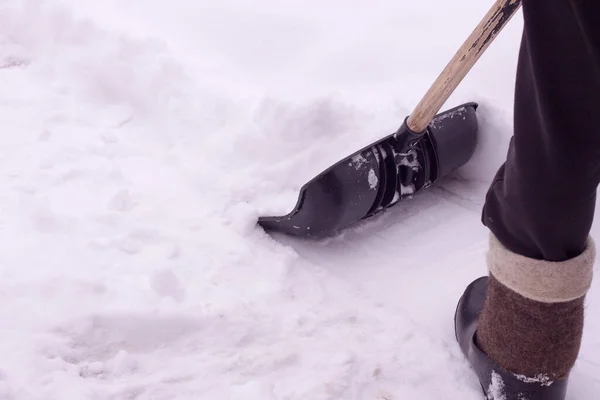 Clearing the garden and road after heavy snow