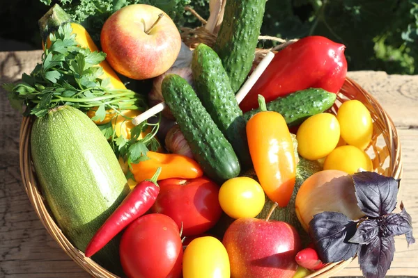 Fresh Vegetables Basket Stand Garden — Stock Photo, Image