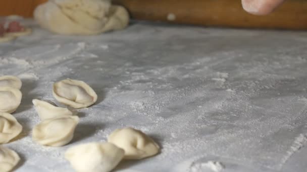 In de keuken maken we dumplings, handgemaakte meel en vlees — Stockvideo