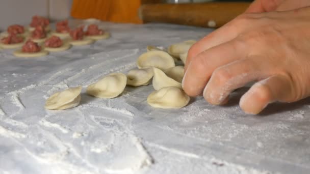 I köket gör vi dumplings, handgjort mjöl och kött — Stockvideo