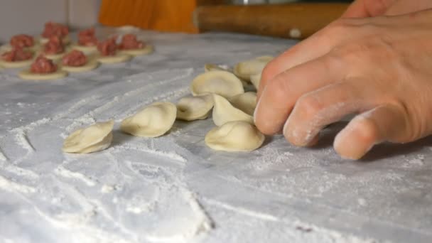 Na cozinha fazemos bolinhos de massa, farinha feita à mão e carne — Vídeo de Stock