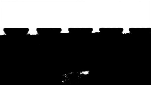 白色背景上深色列车运动的轮廓 — 图库视频影像