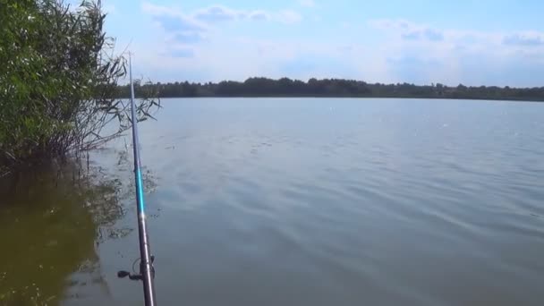 Ράβδος ψαρέματος σε μια λίμνη περιμένοντας μια μπουκιά ψάρι μια ζεστή καλοκαιρινή μέρα — Αρχείο Βίντεο