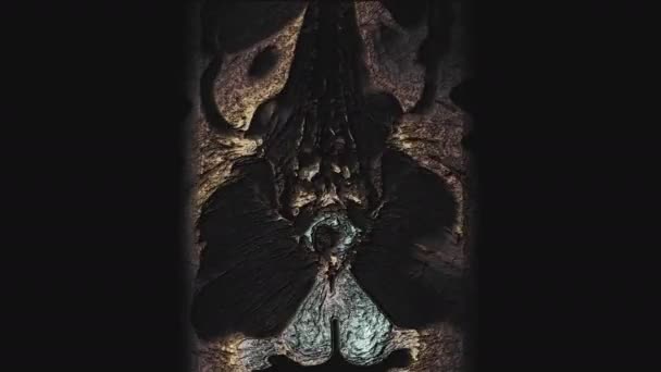 Wielobarwny pooperacyjny rezonans magnetyczny narządów żeńskich w celu wykrycia przerzutów — Wideo stockowe