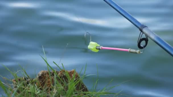 Fiskestænger i dammen venter på, at fiskene bider på en varm sommerdag. Lyse flyde gynger på en baggrund af blåt vand – Stock-video