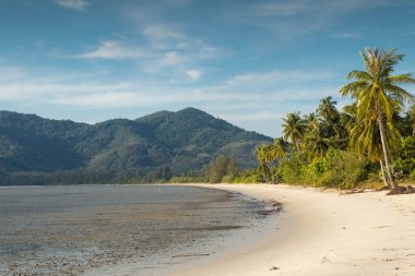 Ve Hindistan cevizi ağaçlarının sabah ve arkadaki, dağlarda Koh Yao Yai, Phang Nga, Tayland toplayan beyaz plaj güzel sahne