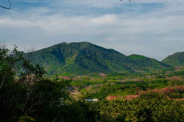 View Forest Mountains Wooden Foreground Koh Yao Yai Phang Nga — Stock Photo, Image
