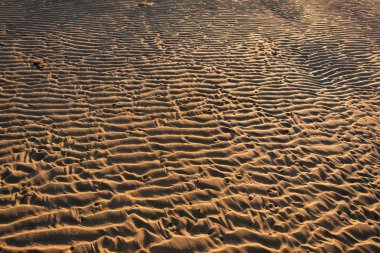 öğleden sonra ışık desen ve kum dalga şeklinde düşük tide sonra neden olur.