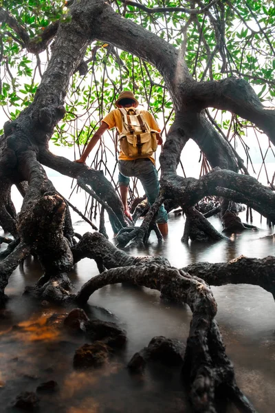 Sırt çantası Travel Lifestyle wanderlust macera konsepti yaz tatilleri açık tek başına vahşi içine yaşlı mangrov ormanı ile break bir adam, Phang Nga, Koh Yao Yai, Tayland