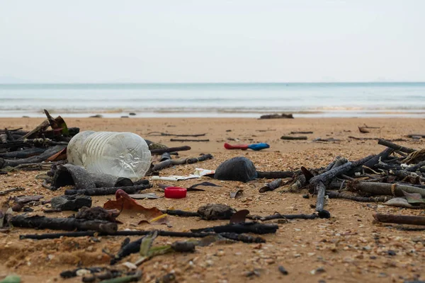 Sahilde çöp döktü. Boş kullanılmış kirli plastik şişeler. Çevre kirliliği Ekolojik sorun