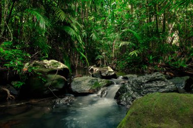 Koh yao yai yağmur ormanlarından akan Dere, Phang Nga, Tayland 