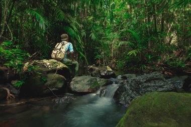 Küçük dereler arasında sırt çantası ile yağmur ormanlarında kaya üzerinde oturan Adam Tayland, Phang Nga, Koh Yao Yai vahşi içine tek başına dışında bol tropikal orman kavramı yaz tatilleri ile akışı