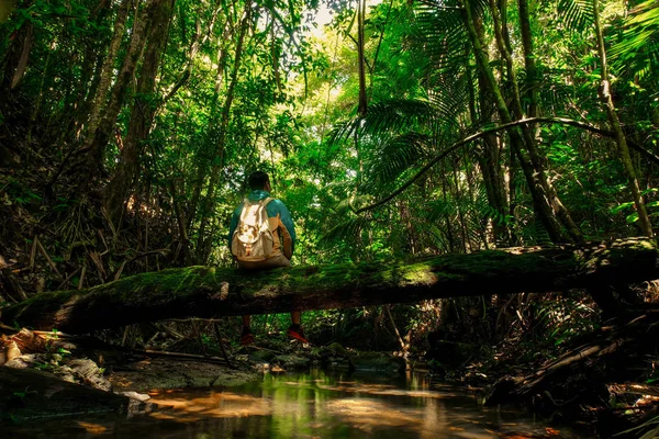 Людина Сидячи Старому Стовбур Дерева Кришка Мосс Тропічному Лісі Рюкзаком — стокове фото