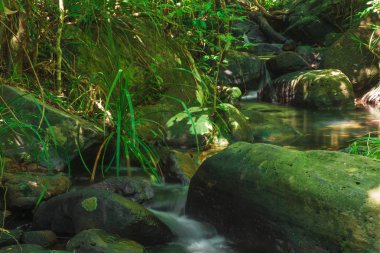 Koh yao yai yağmur ormanlarında bol ormanlar aracılığıyla güzel dağ dere akışı, Phang Nga, Tayland