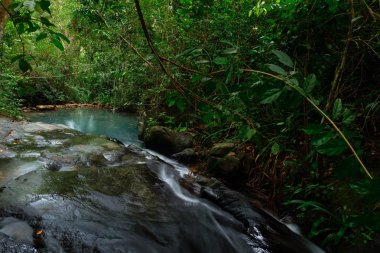Tayland 'ın verimli ormanlarının dağlarından akan küçük bir dere, koh yao yai