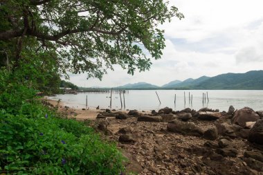 Manzarası deniz ve dağın güzelliği