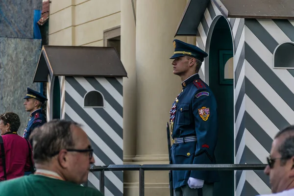 Praga, República Checa - 18 de septiembre de 2019: Los guardias de honor en el palacio presidencial en el castillo de Praga. En esta unidad especial hay seiscientos soldados . — Foto de Stock