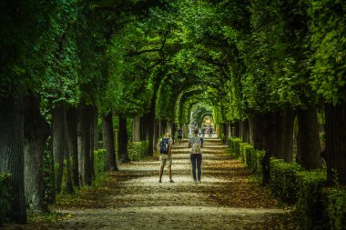 Viyana, Avusturya, 15 Eylül 2019 -: turist Schonbrunn Palace, eski bir imparatorluk yazlık Habsburg hükümdarları gardens adlı yürüyüş