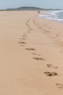 Brezilya Atlantik Okyanusu, ayak izlerini bırakan bir çift, arkalarında bulanık bir tepe belirdi, bitki örtüsüyle kaplı..