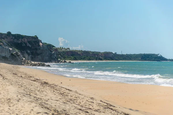 Vertical panorama of the seacoast of the personless Taipe beach, with brown seaweed in the harsh sand, a blue ocean and natural cliffs formed by rock exposures at Trancoso, Porto Seguro, Bahia