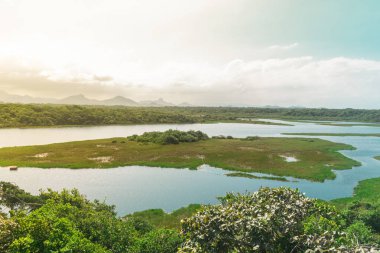 Neredeyse ayakta su bir nehir her iki tarafta bitki örtüsü vardır, ortasında, merkezinde, bazı çalılar olan nehrin ortasında bir ada var.