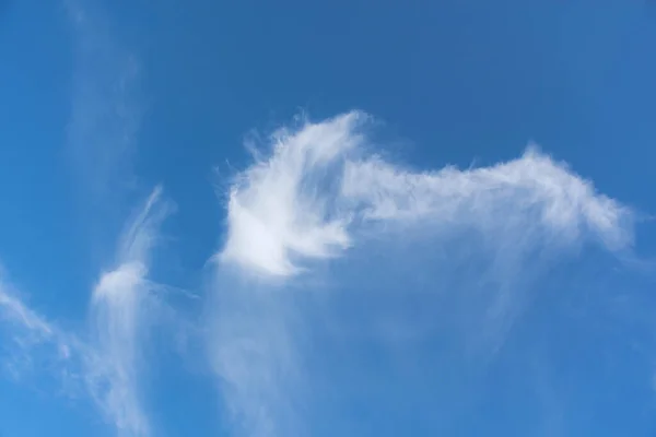 Blue sky with a white cloud. Beautiful natural background. Bottom view of flying clouds. White and blue shades. Watercolor clouds. Peaceful sky.