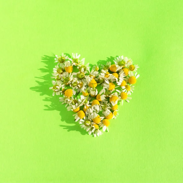 Coeur Marguerites Sur Fond Vert Aménagement Carré Une Carte Vœux — Photo