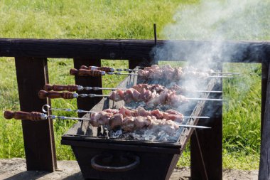 Yeşil arka planda gülümseyen karamel. Güzel, parlak ve komik bir yüz. Neşeli bir ruh hali. Pozitif kart. Mutlu yaz arkaplanları.