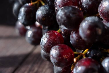 Yeşil arka planda gülümseyen karamel. Güzel, parlak ve komik bir yüz. Neşeli bir ruh hali. Pozitif kart. Mutlu yaz arkaplanları.