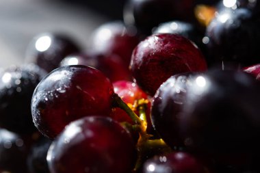 Yeşil arka planda gülümseyen karamel. Güzel, parlak ve komik bir yüz. Neşeli bir ruh hali. Pozitif kart. Mutlu yaz arkaplanları.