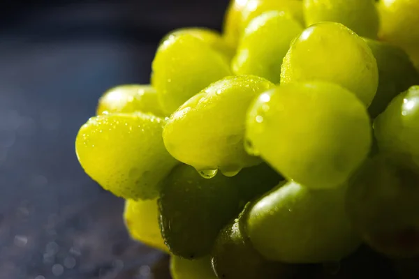 Caramelo Sonriente Sobre Fondo Verde Hermosa Cara Brillante Divertida Alegre —  Fotos de Stock