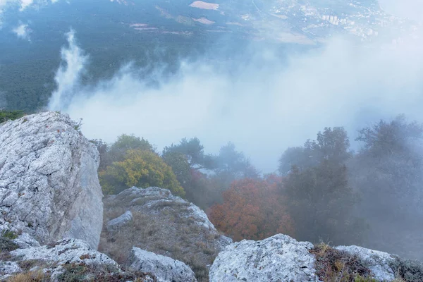 秋天的森林在雾中 透过云彩从山上到城市的景色 大气秋季背景 克里米亚的风景 雅尔塔山中的金秋 — 图库照片
