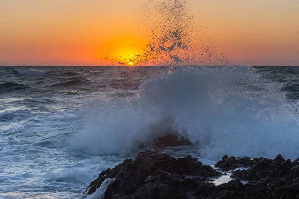 Sunset Storm Sea Large Waves Background Setting Sun Summer Storm — Stock Photo, Image