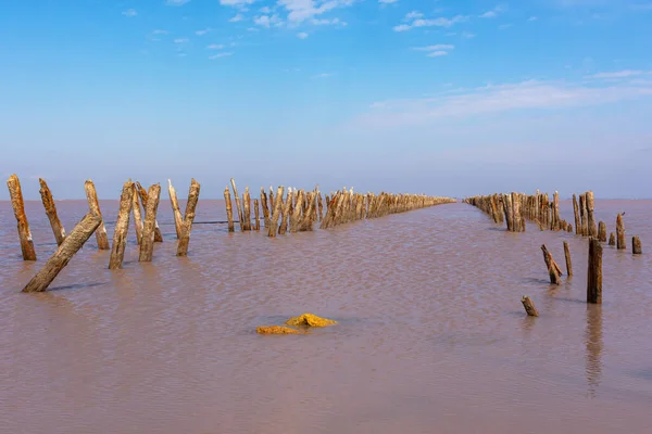 Kırım 'da pembe tuz gölü Sasyk-Sivash. Bir gölü ve insansız mavi gökyüzü olan güzel bir peri masalı manzarası. Tuz madenciliği endüstrisi. Kozmetik işlemler için mineralli kullanışlı pembe tuz.