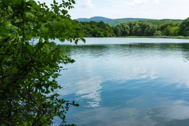 Nehir ve mavi gökyüzü olan yaz manzarası. Yeşil bir ormanın ortasında küçük bir gölet. Mavi gökyüzü ve yeşil çimenler. Nehirli güzel bir kırsal alan. Rus yaz doğası.