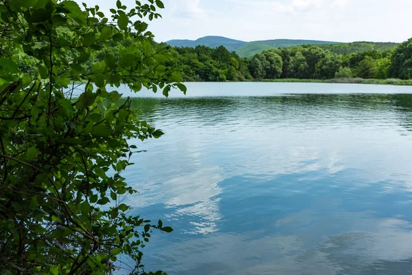 Nehir ve mavi gökyüzü olan yaz manzarası. Yeşil bir ormanın ortasında küçük bir gölet. Mavi gökyüzü ve yeşil çimenler. Nehirli güzel bir kırsal alan. Rus yaz doğası.