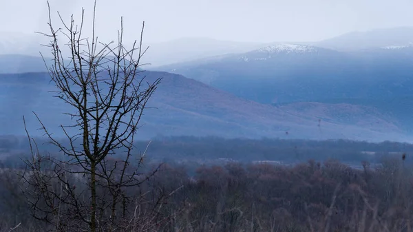 Panoráma Táj Hócsúcsokkal Naplementekor Őszi Lombtalan Erdőkkel Halványkék Rózsaszín Árnyalattal — Stock Fotó