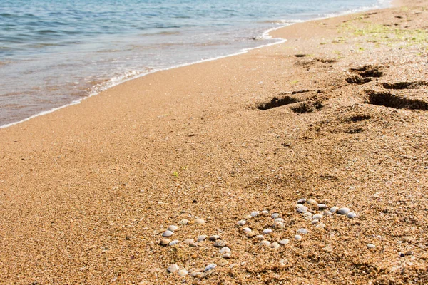 Palabra Mar Conchas Una Playa Arena Concepto Vacaciones Verano Sueños — Foto de Stock