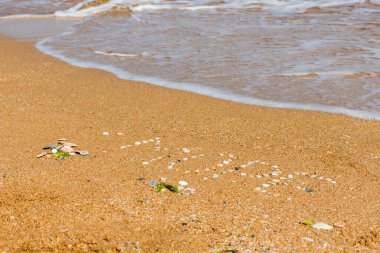 Deniz kelimesi Rusça harflerle, deniz kabuklarından yapılmıştır. Güzel kumlu plaj ve turkuaz su. Yaz tatili kavramı. Tatil hayali kur..