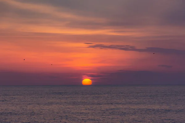 Rosa Sonnenuntergang Meer Horizont Geht Die Riesige Rote Sonne Unter — Stockfoto