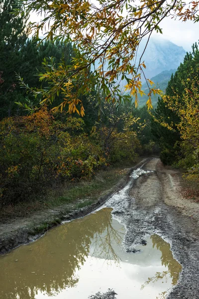 Autumn landscape with a puddle on the road. Country road through the forest and mountains. Beautiful rainy October. The vertical composition. A large puddle with reflections.