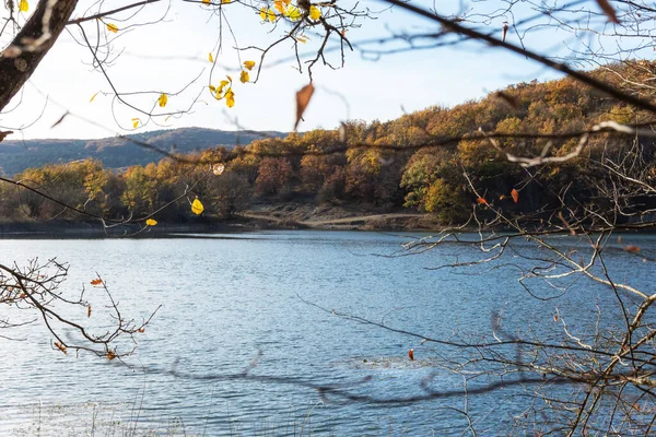 Güz arka planında bir göl ve sarı ağaçlar var. Suyun mavi yüzeyindeki yaprakların arasından bakın. Sonbaharın gelişi konsepti. Parlak renkli sonbahar manzarası.