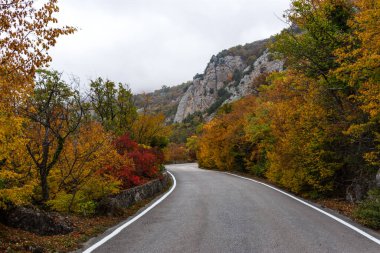 Sonbahar ormanında Paved Yolu. Dağlı renkli sonbahar manzarası. Seyahat kavramı. Güneşsiz gri bulutlu gökyüzü. Panoramik kartpostal sonbahar arkaplanı.