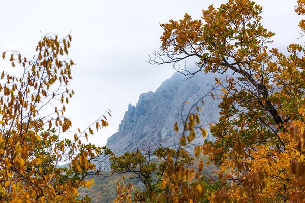 黄色的森林和山脉 色彩斑斓的秋天背景 橙色橡木叶子 薄雾和云彩 克里米亚之秋 — 图库照片