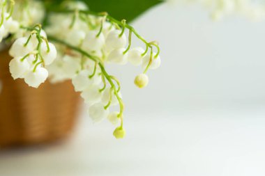 Vadinin beyaz zambakları, arka planda bulanık bir yere yakın sepetin içinde. Bahar çiçeği aranjmanı. Yumuşak bir bahar arkaplanı. Mayıs çiçekleri. Tebrik kartının çizimi. Boşluğu kopyala