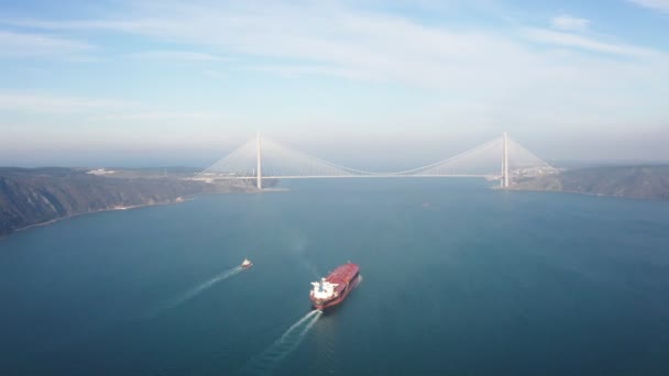 货船和悬索桥鸟图 — 图库视频影像